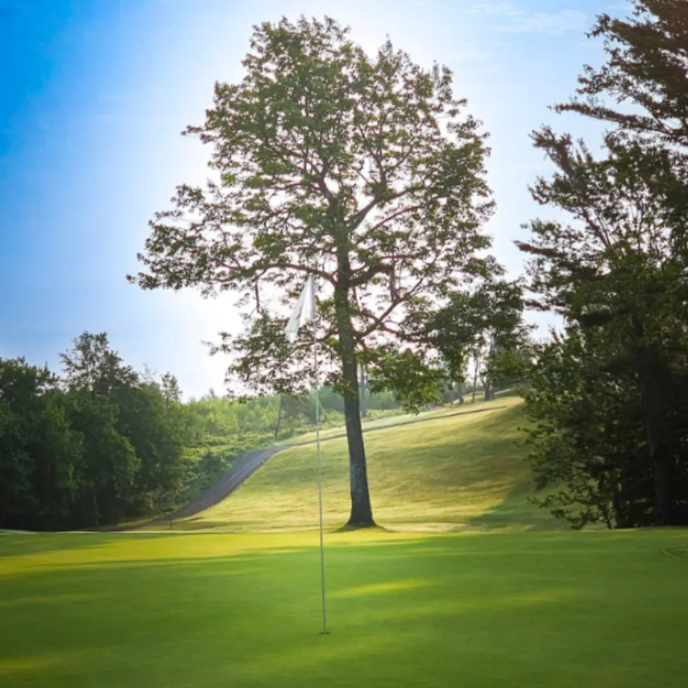 abercrombie golf2